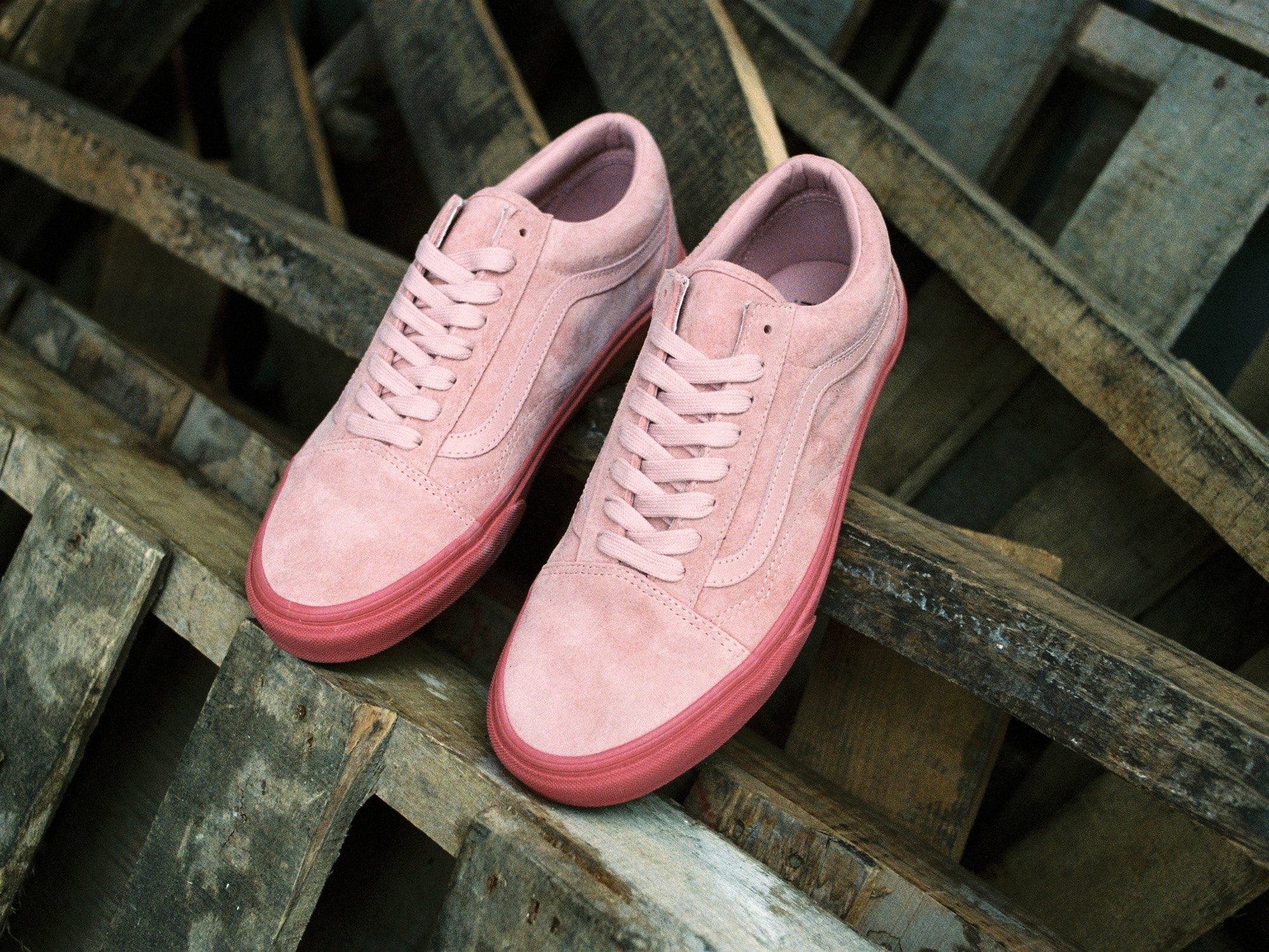 Vans ảnh 2 Vans anh 2