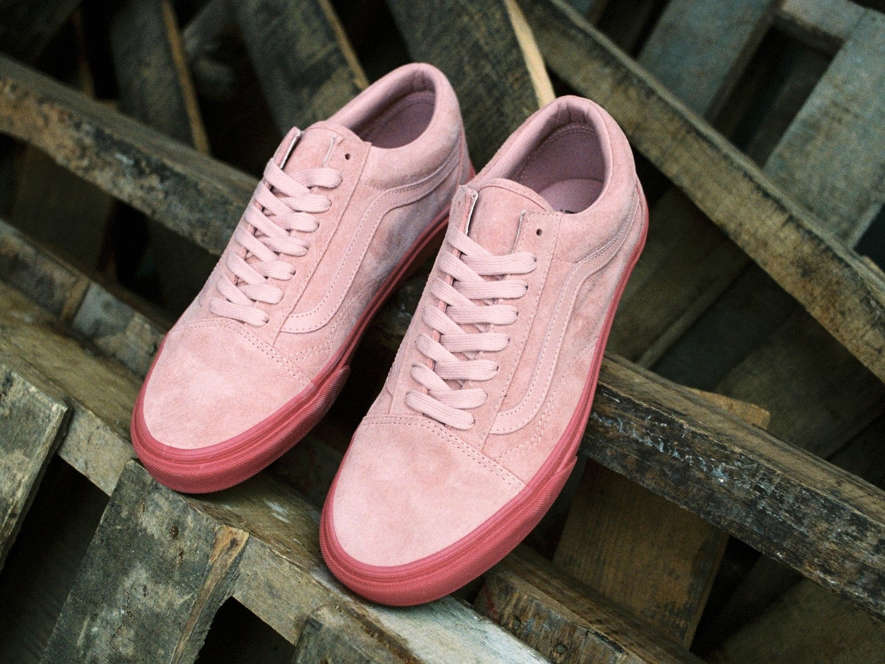 Vans chao nam Tan Suu bang BST ruc ro hinh anh