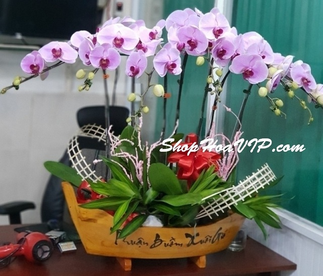 Shop hoa VIP - dia chi ban lan ho diep dep, du mau hinh anh