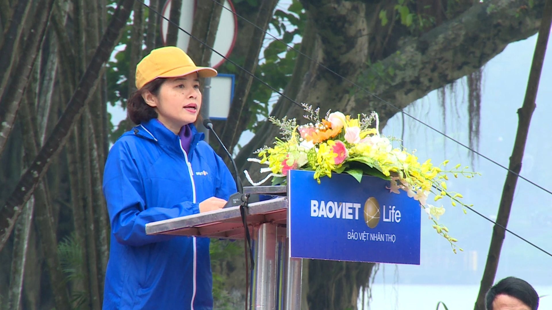 Bao Viet Nhan tho anh 2