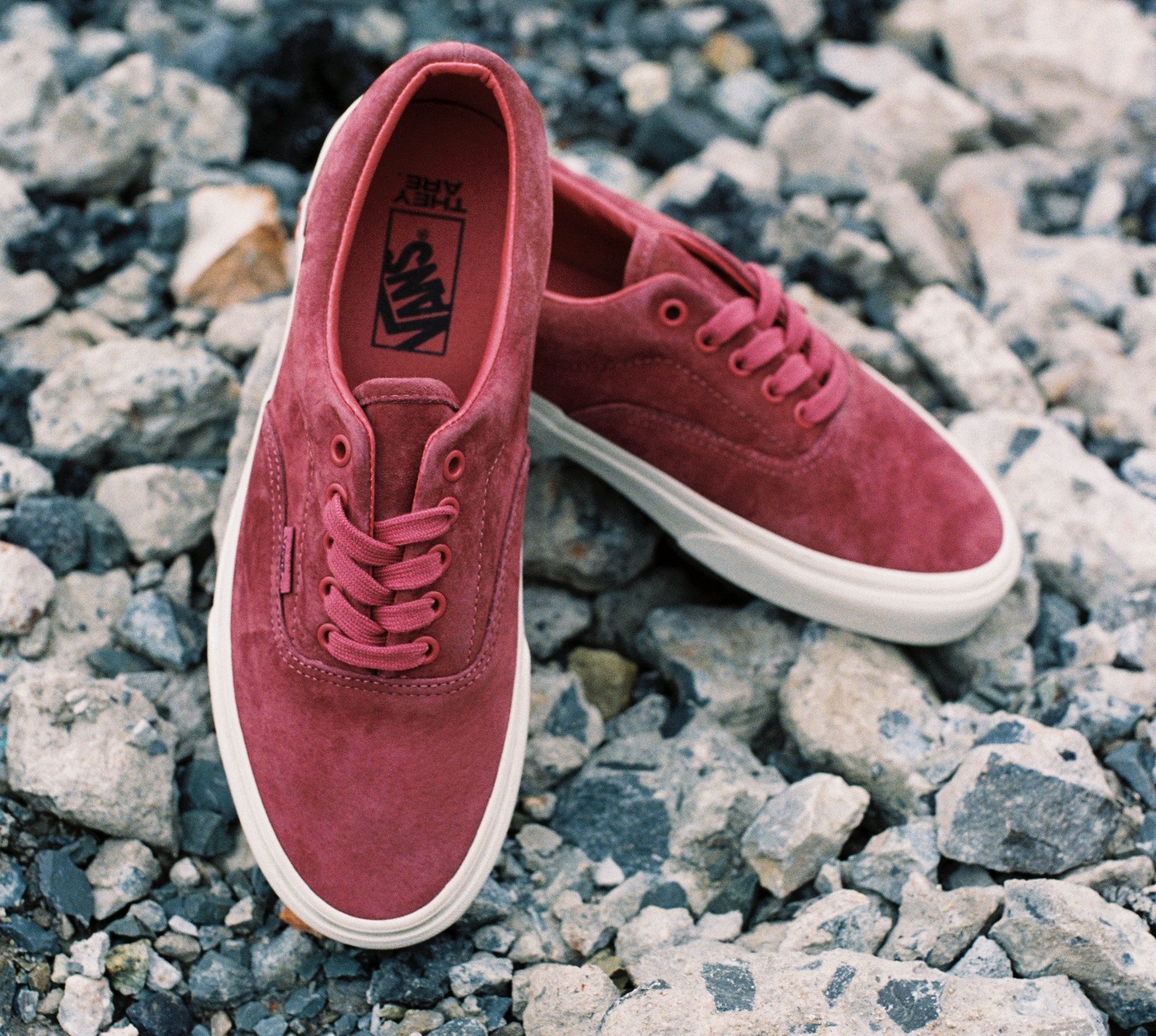 Vans ảnh 5 Vans anh 5