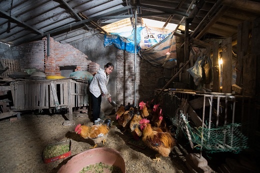 'Tiep suc nha nong' 2020 ho tro sinh ke cho phu nu nong thon hinh anh