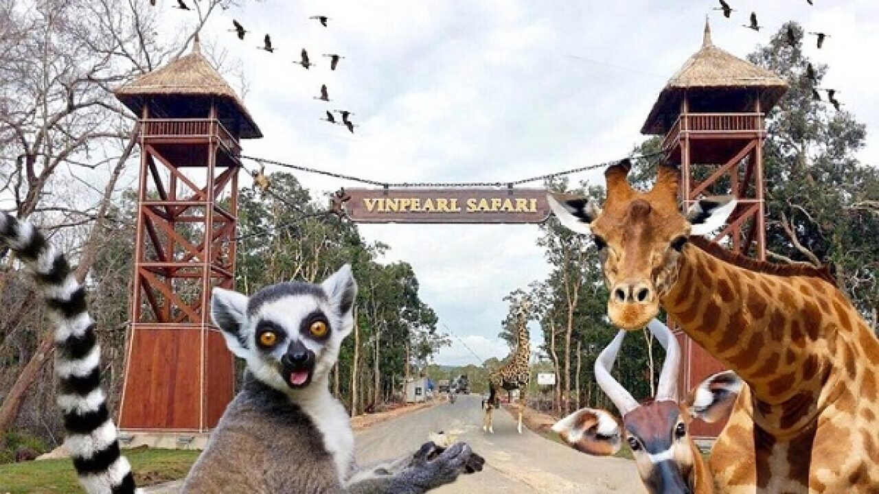 John’s Tours anh 4