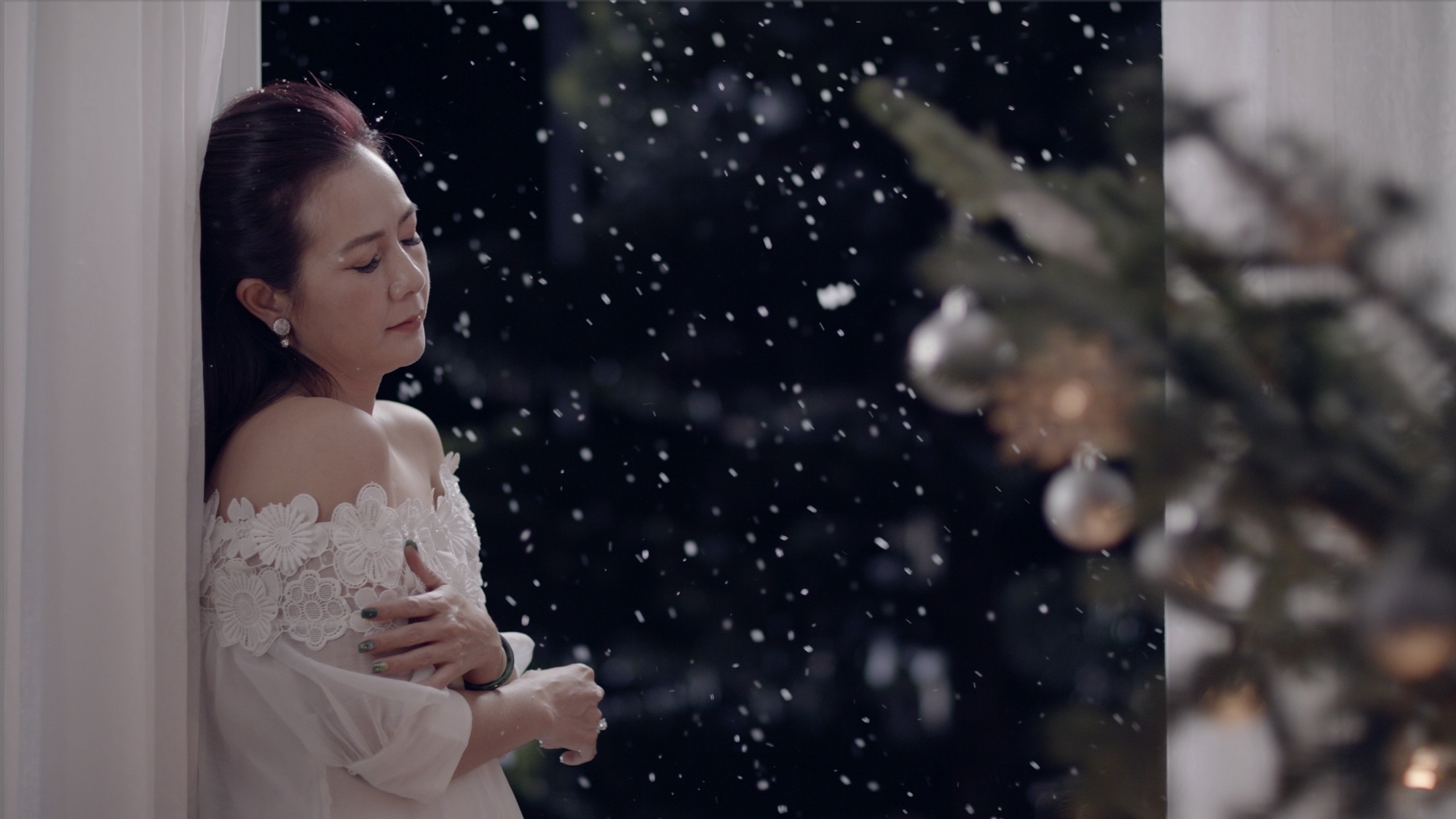 ca si Viet Hoa anh 1