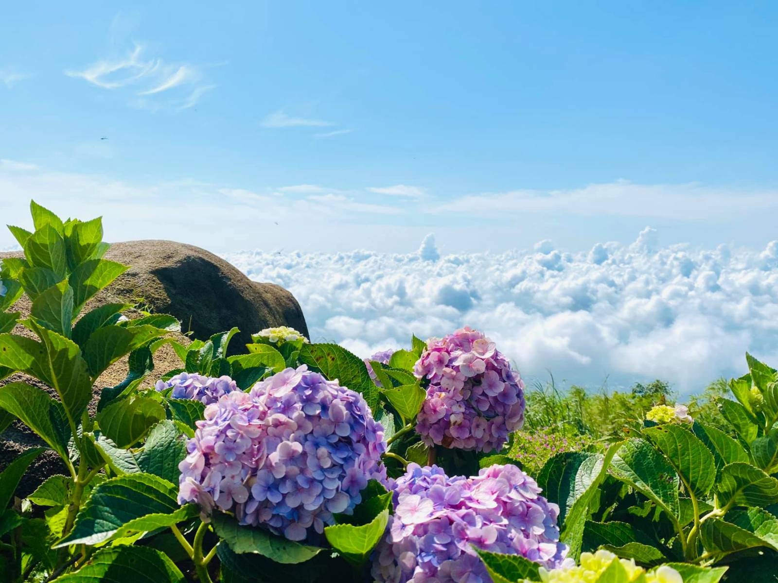 Bà Đen ảnh 4 Ba Den anh 4