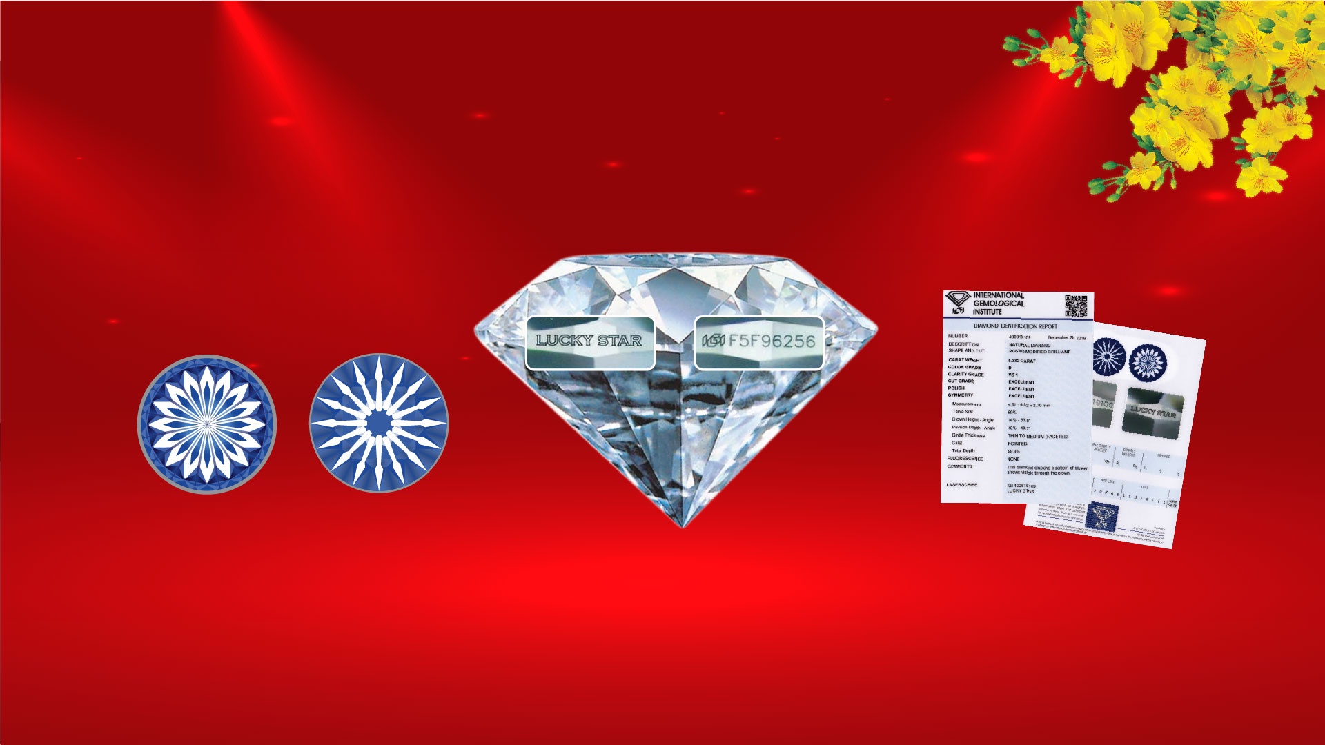 The Gioi Kim Cuong anh 4