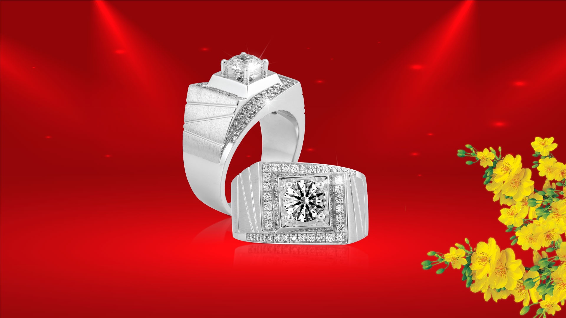 The Gioi Kim Cuong anh 5