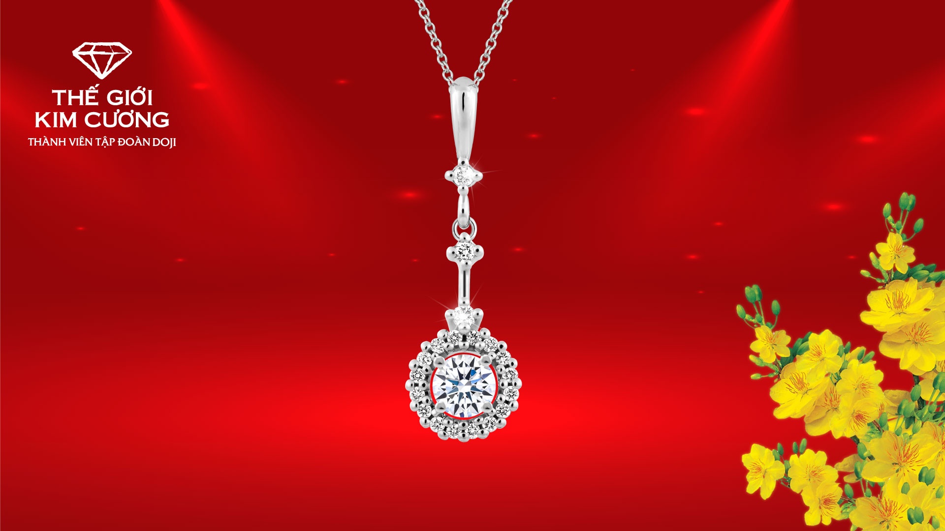 The Gioi Kim Cuong anh 1