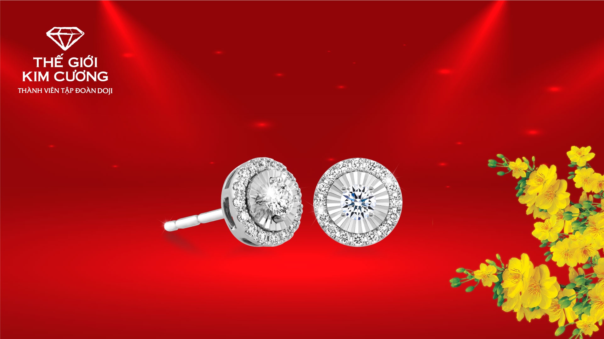 The Gioi Kim Cuong anh 2