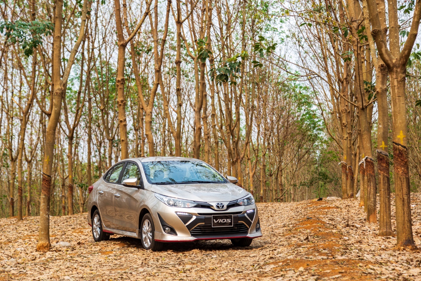 Toyota ảnh 3 Toyota anh 3
