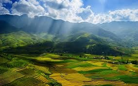 nhà xe Dũng Vy ảnh 1 nha xe Dung Vy anh 1