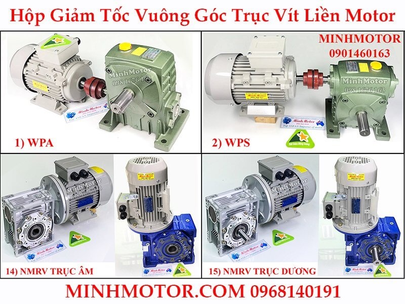 minhmotor anh 3