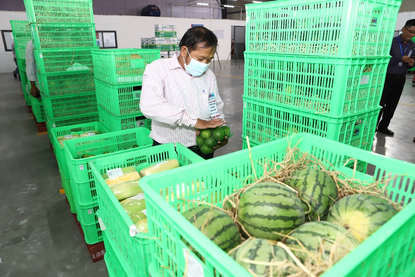 MM Mega Market khai truong trung tam mua ban rau cu qua tai Tien Giang hinh anh