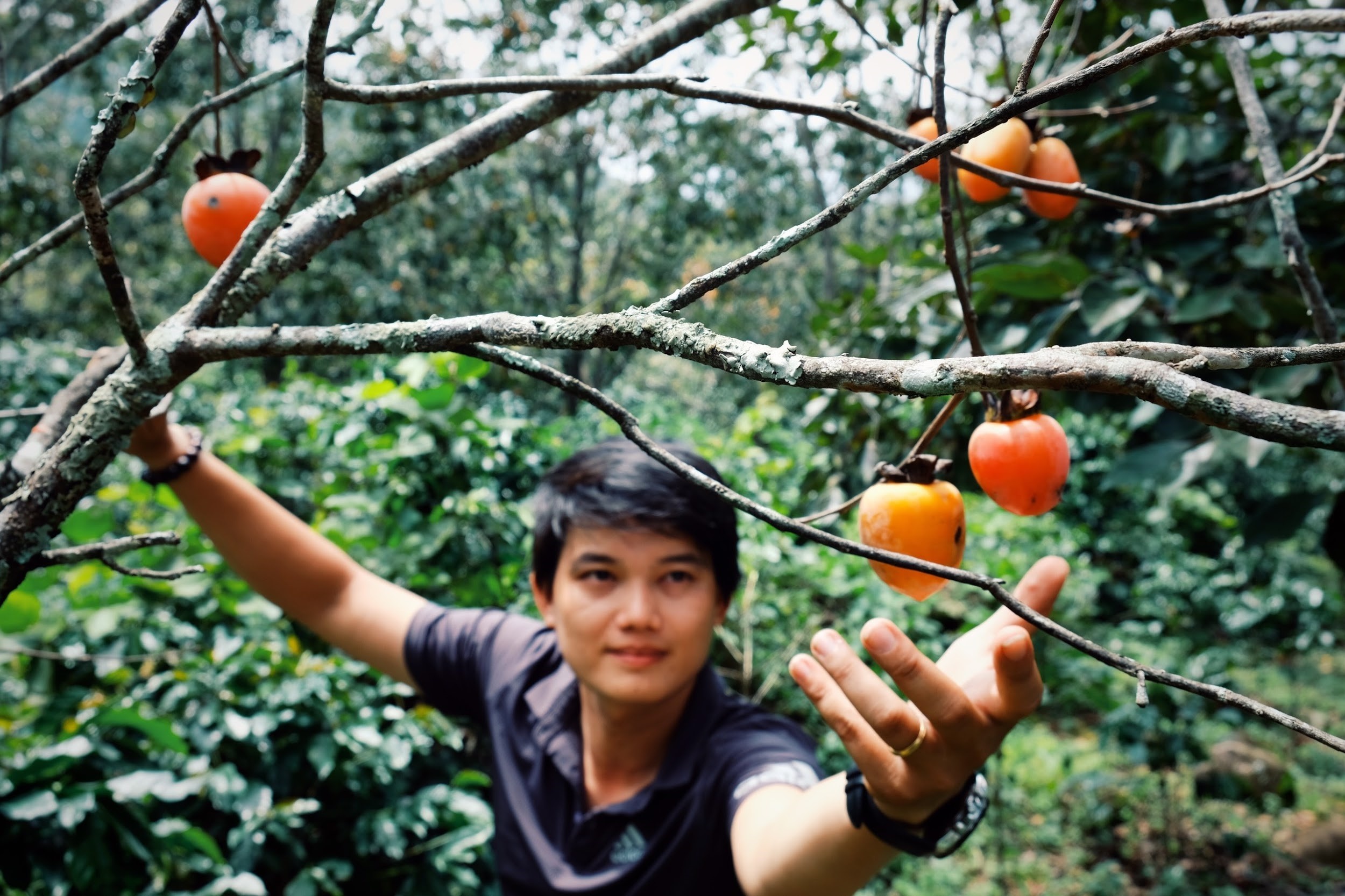 Hong treo gio Da Lat anh 3