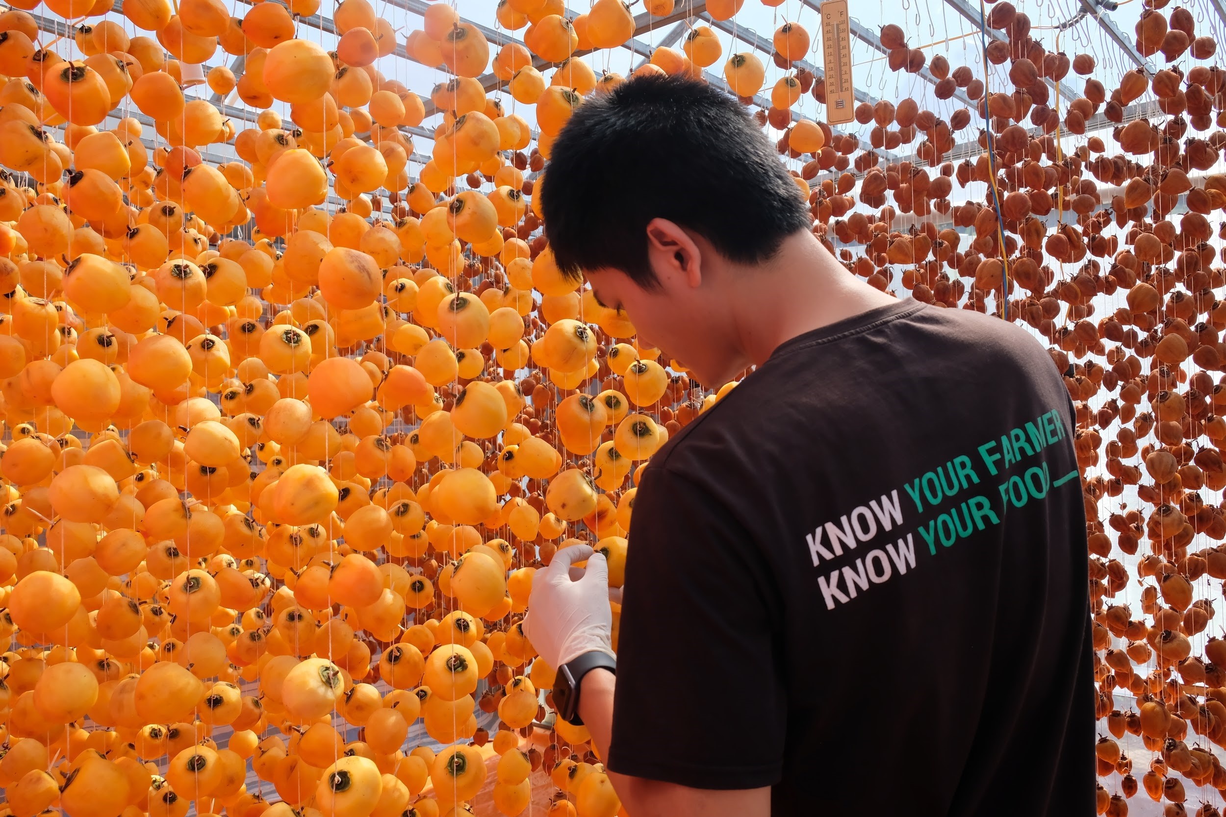 Hong treo gio Da Lat anh 4