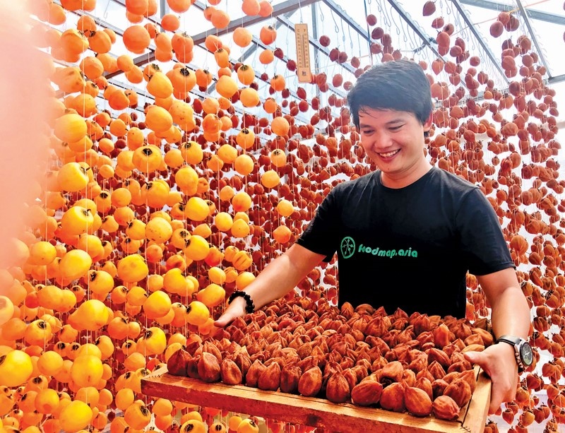 Hong treo gio Da Lat anh 5