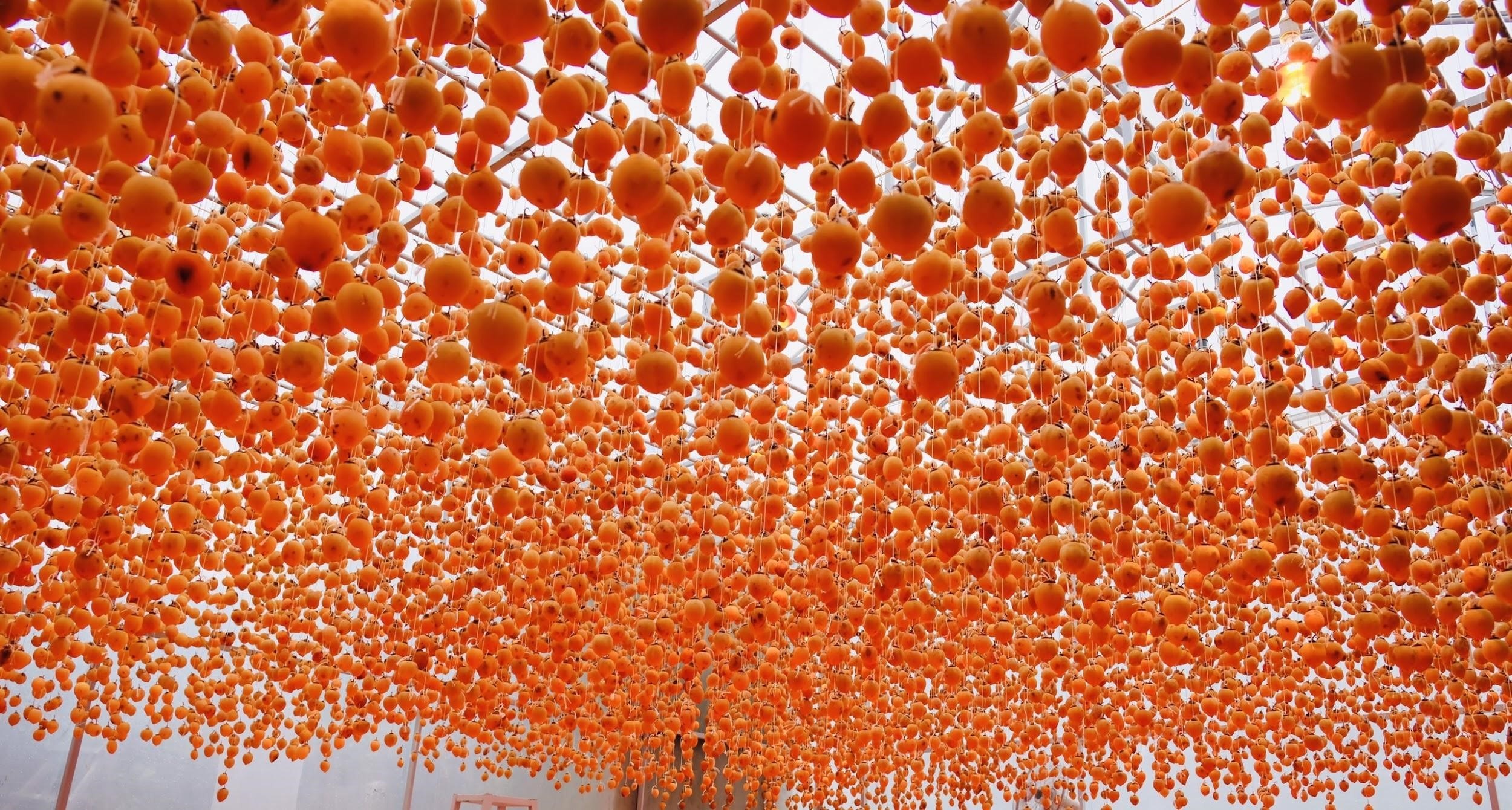 Hong treo gio Da Lat anh 6