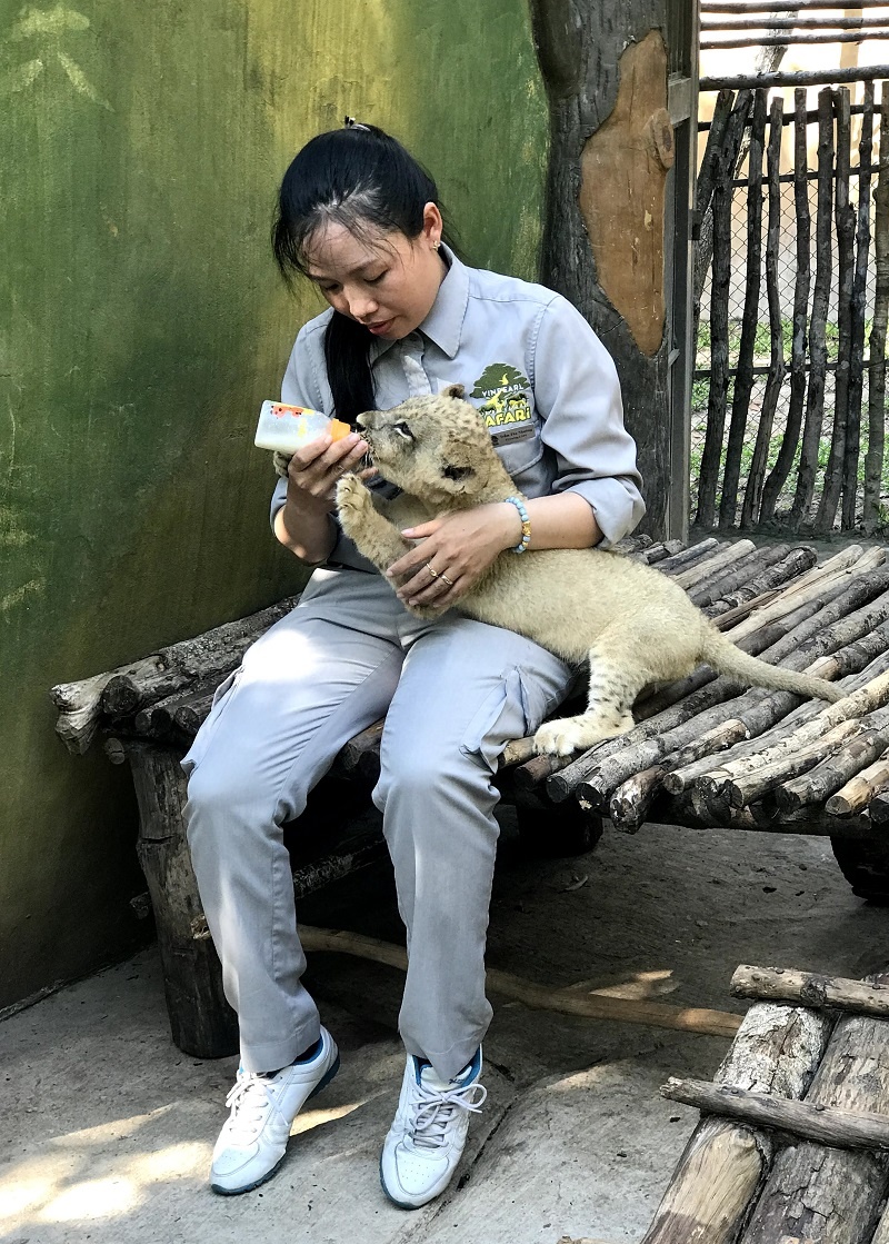 Vinpearl Safari ảnh 1 Vinpearl Safari anh 1