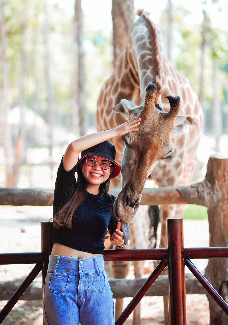 Vinpearl Safari ảnh 8 Vinpearl Safari anh 8