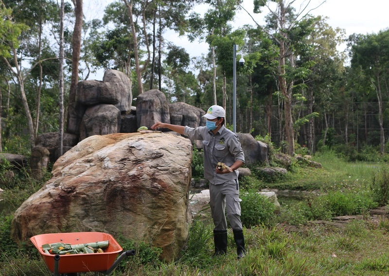Vinpearl Safari ảnh 4 Vinpearl Safari anh 4