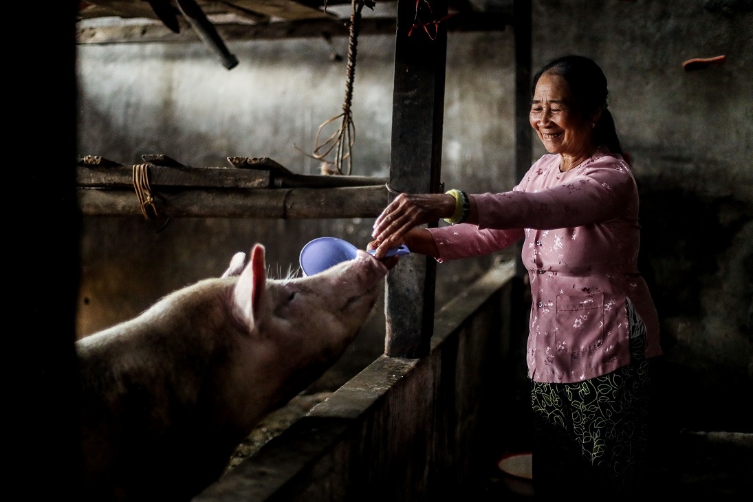 Chung tay mang Tet am ap den cong dong hinh anh