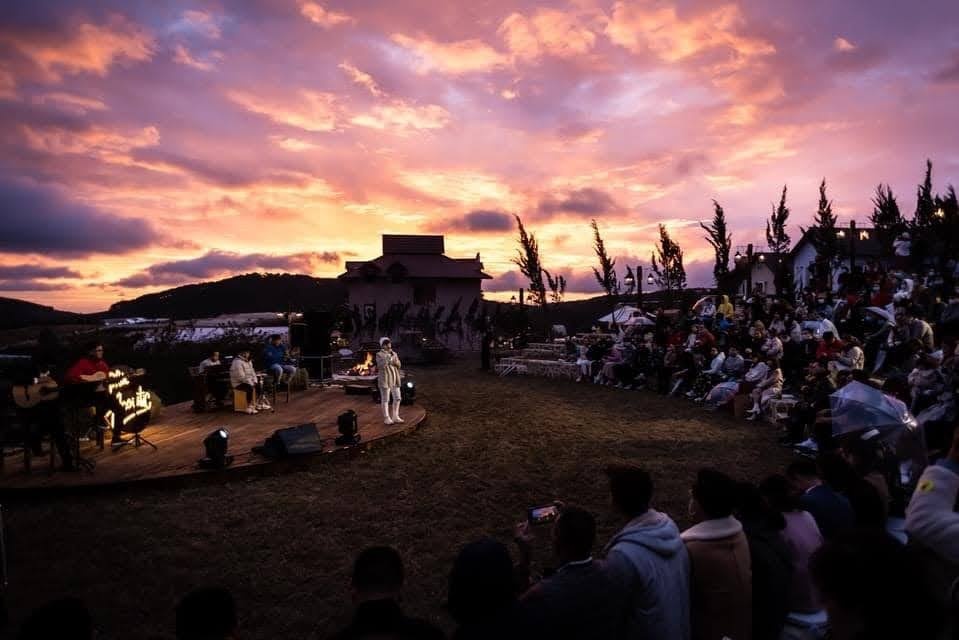 may lang thang anh 7