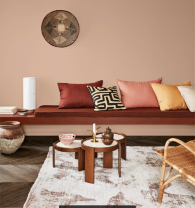 Cam hung tu mau sac anh 2