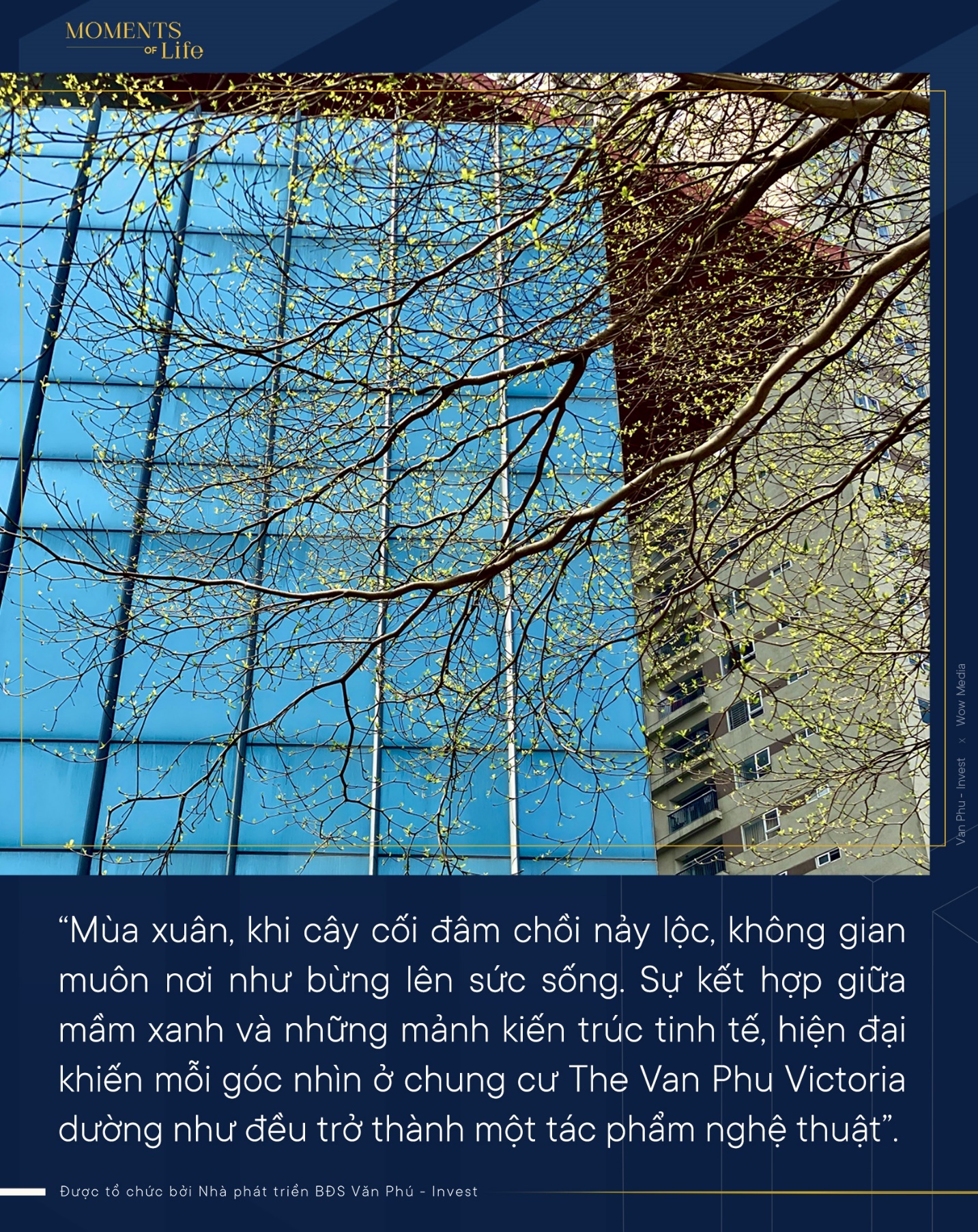 Van Phu - Invest anh 9