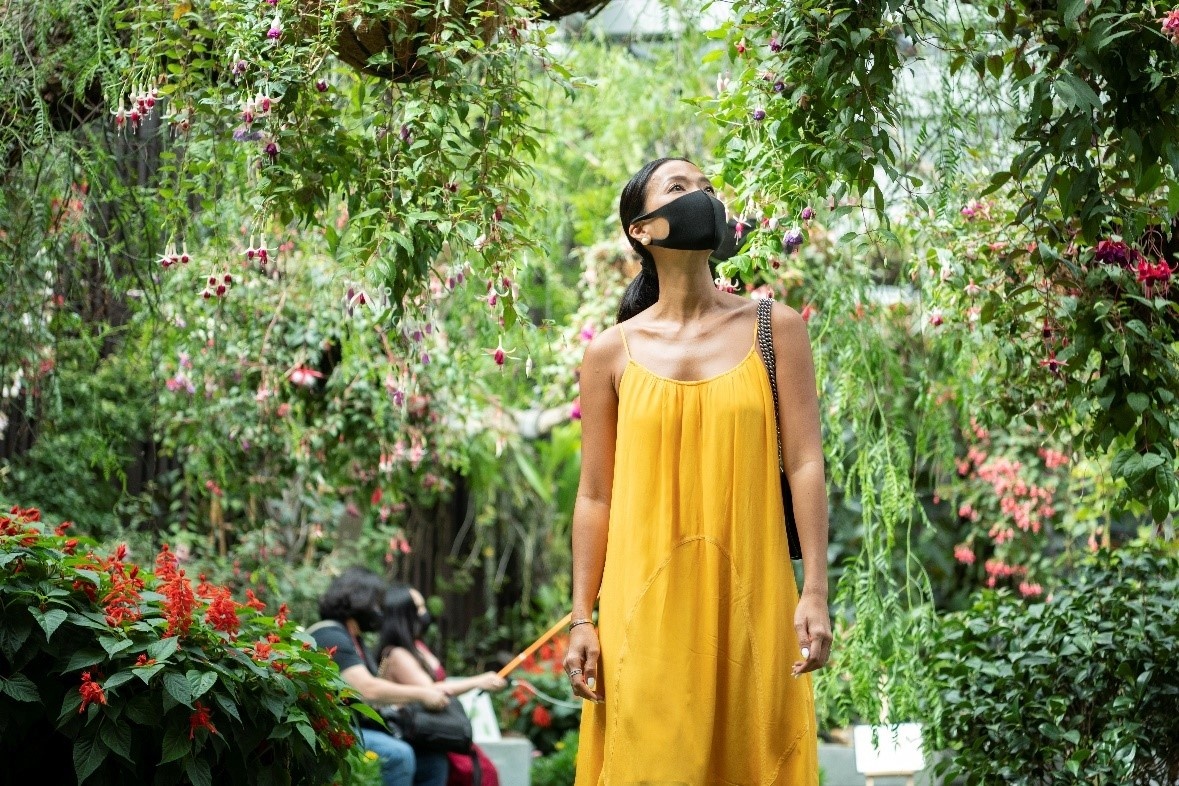 Singapore khoi dong chien dich kich cau du lich hinh anh