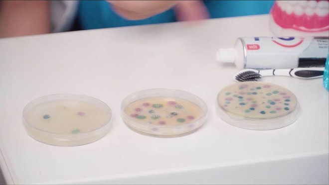 P/S Active Defense anh 2