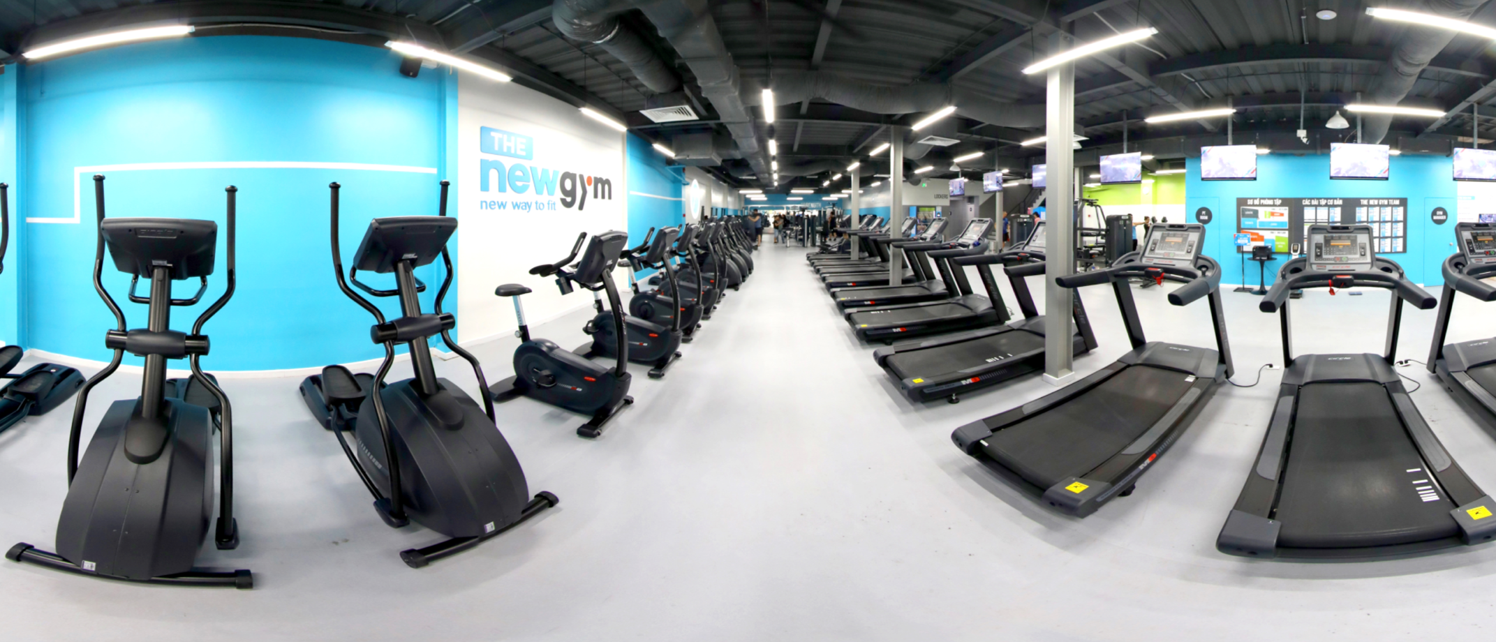 The New Gym anh 2