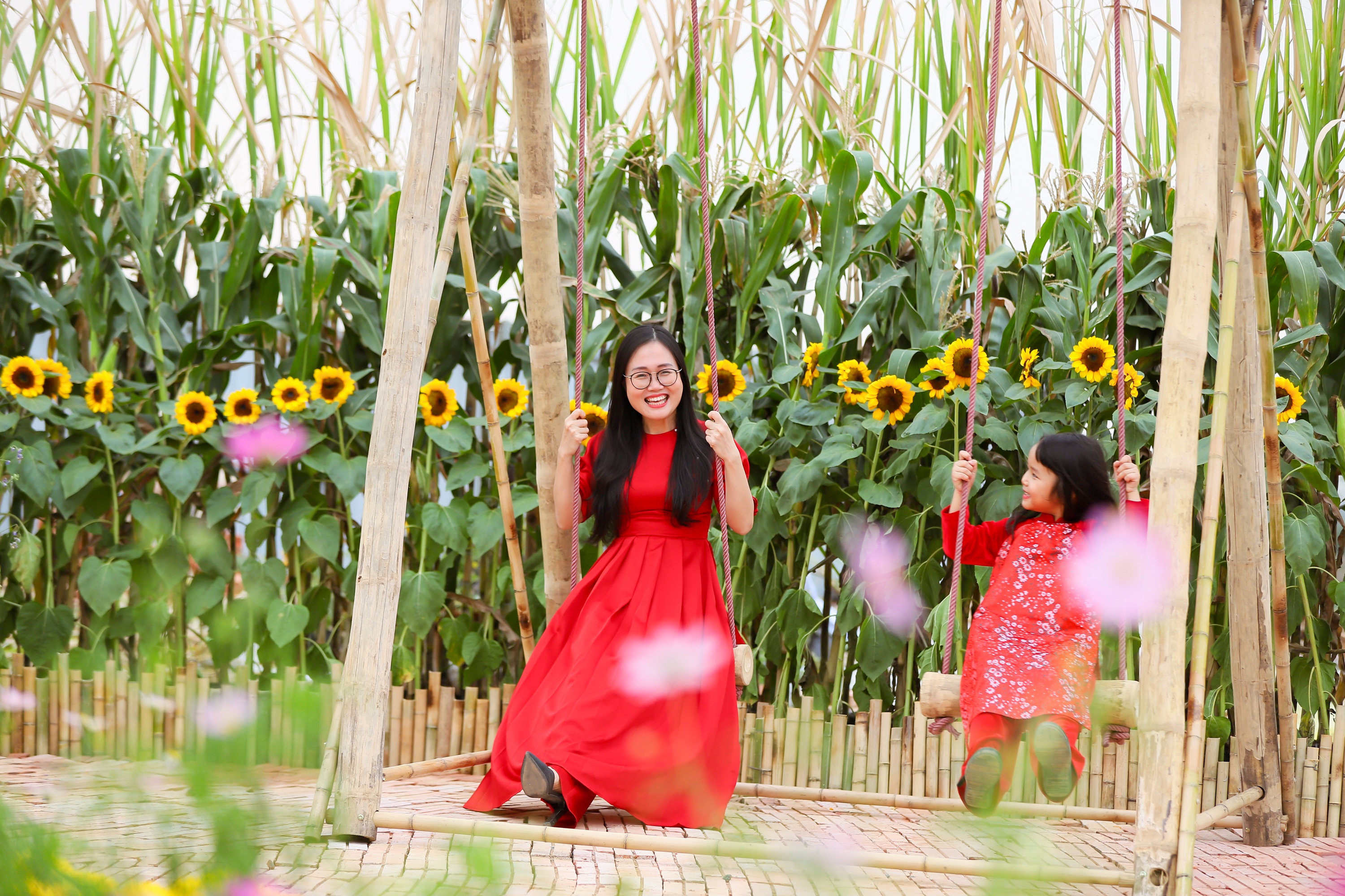 Splendora ảnh 5 Splendora anh 5