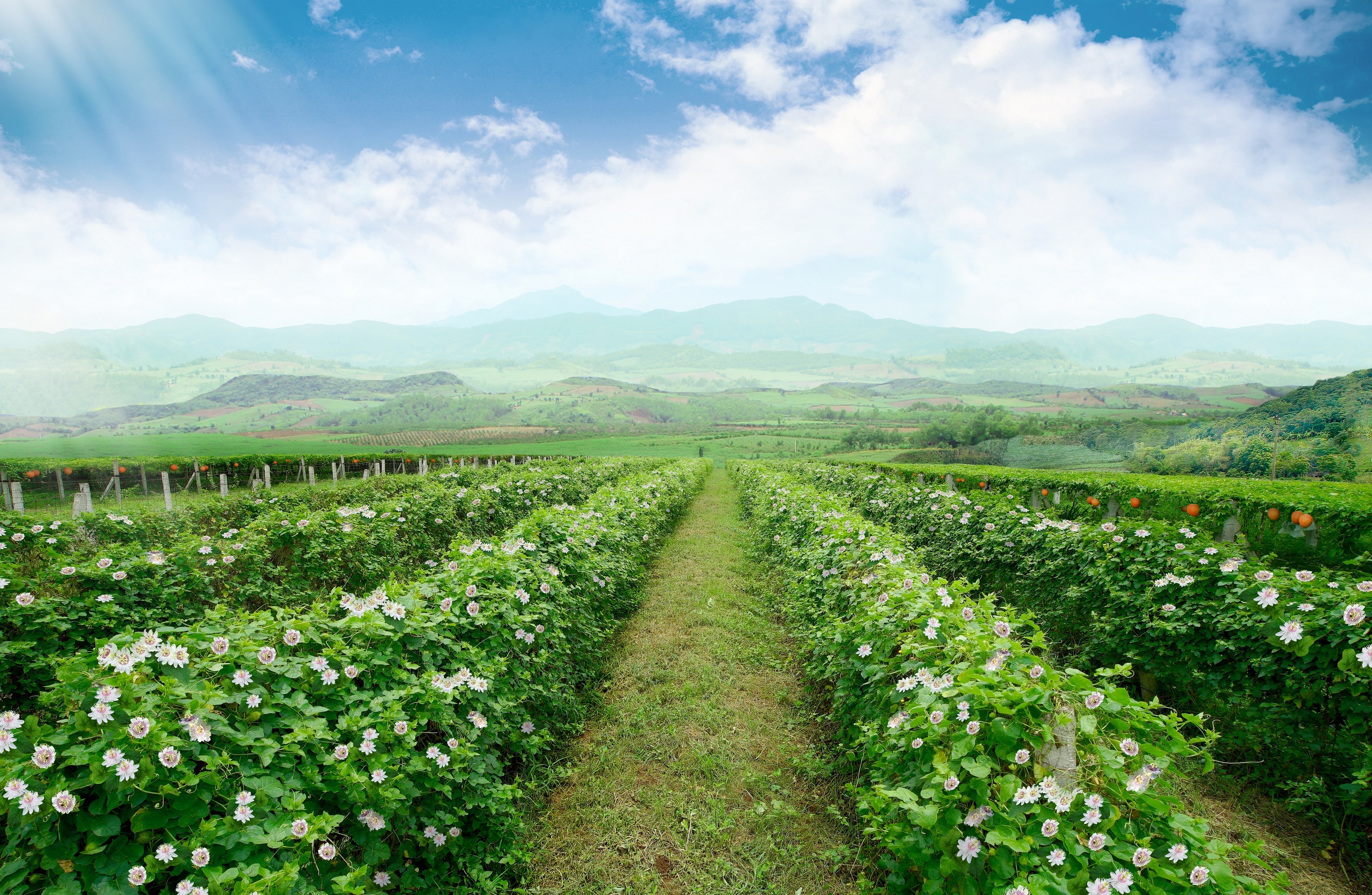 TH True Milk ảnh 8 TH True Milk anh 8