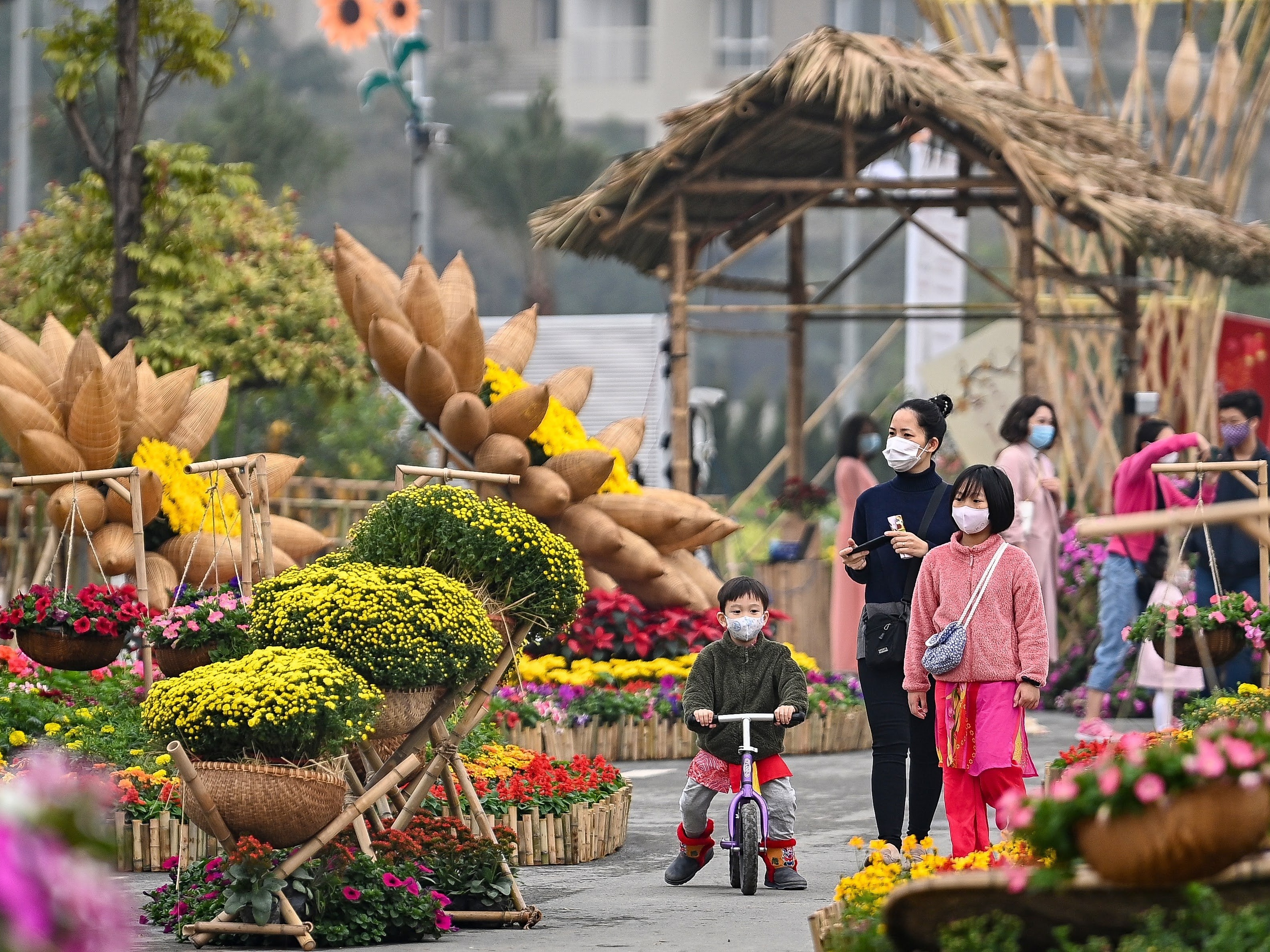Duong hoa Home Hanoi Xuan 2021 khoe sac ruc ro hinh anh