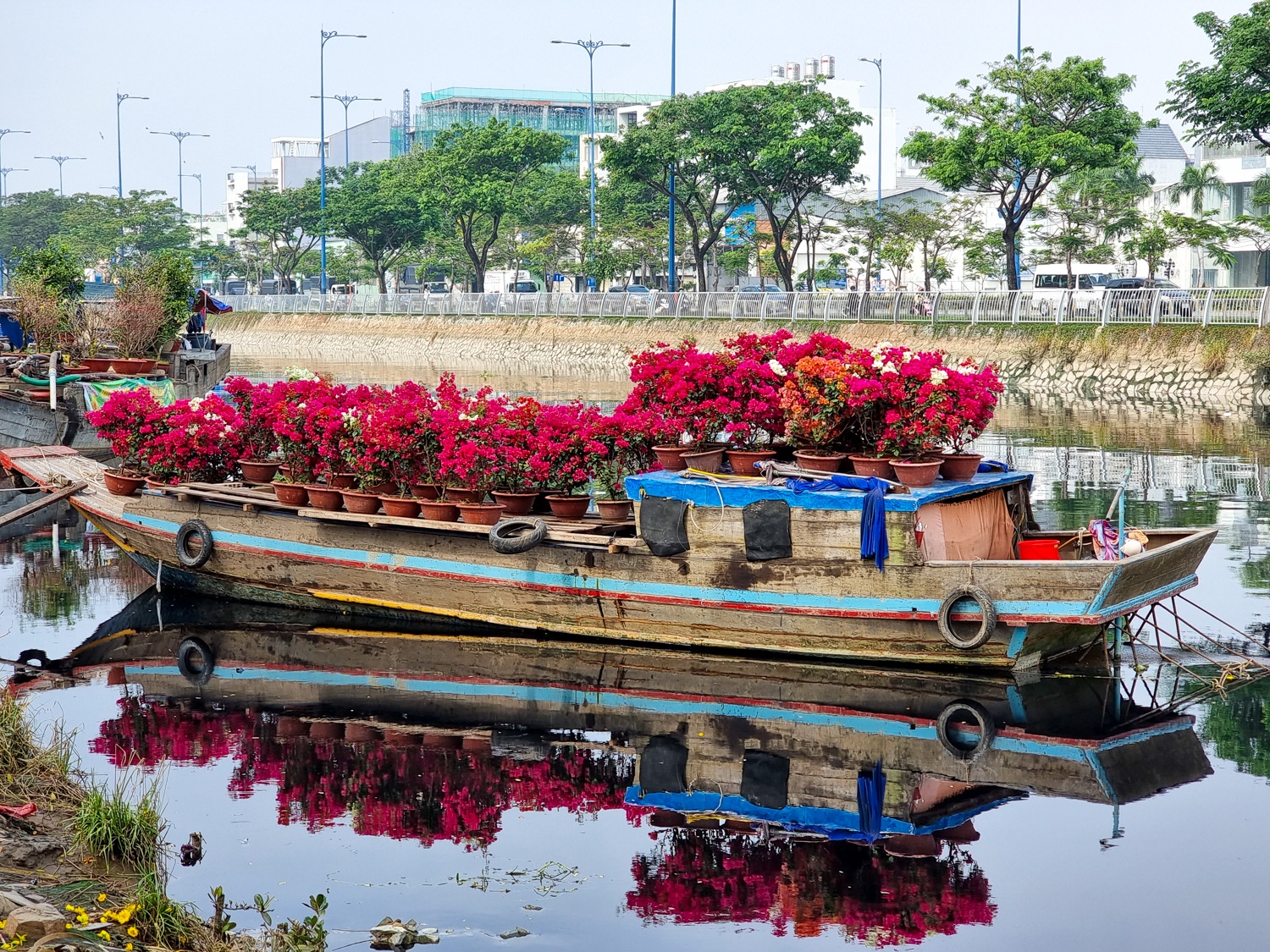 Samsung ảnh 11 Samsung anh 11