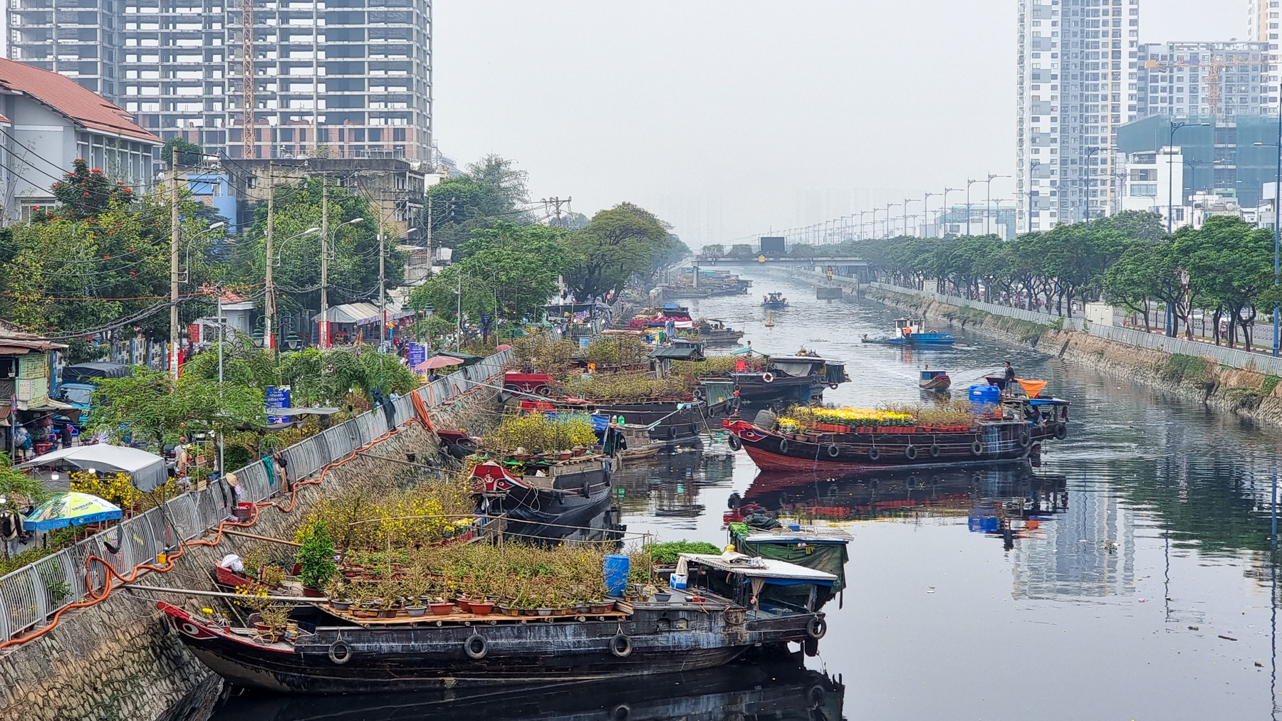 Samsung ảnh 8 Samsung anh 8