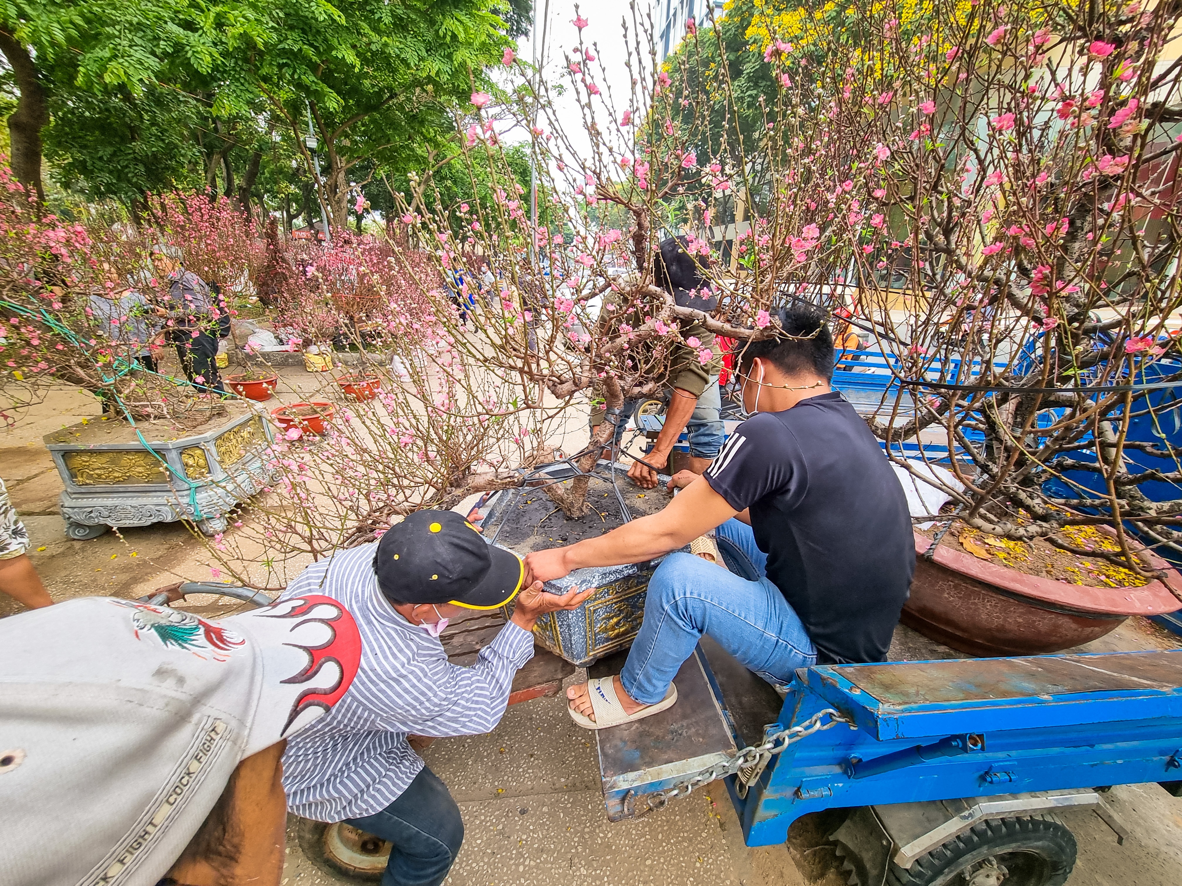 TP.HCM ngay cuoi nam hinh anh