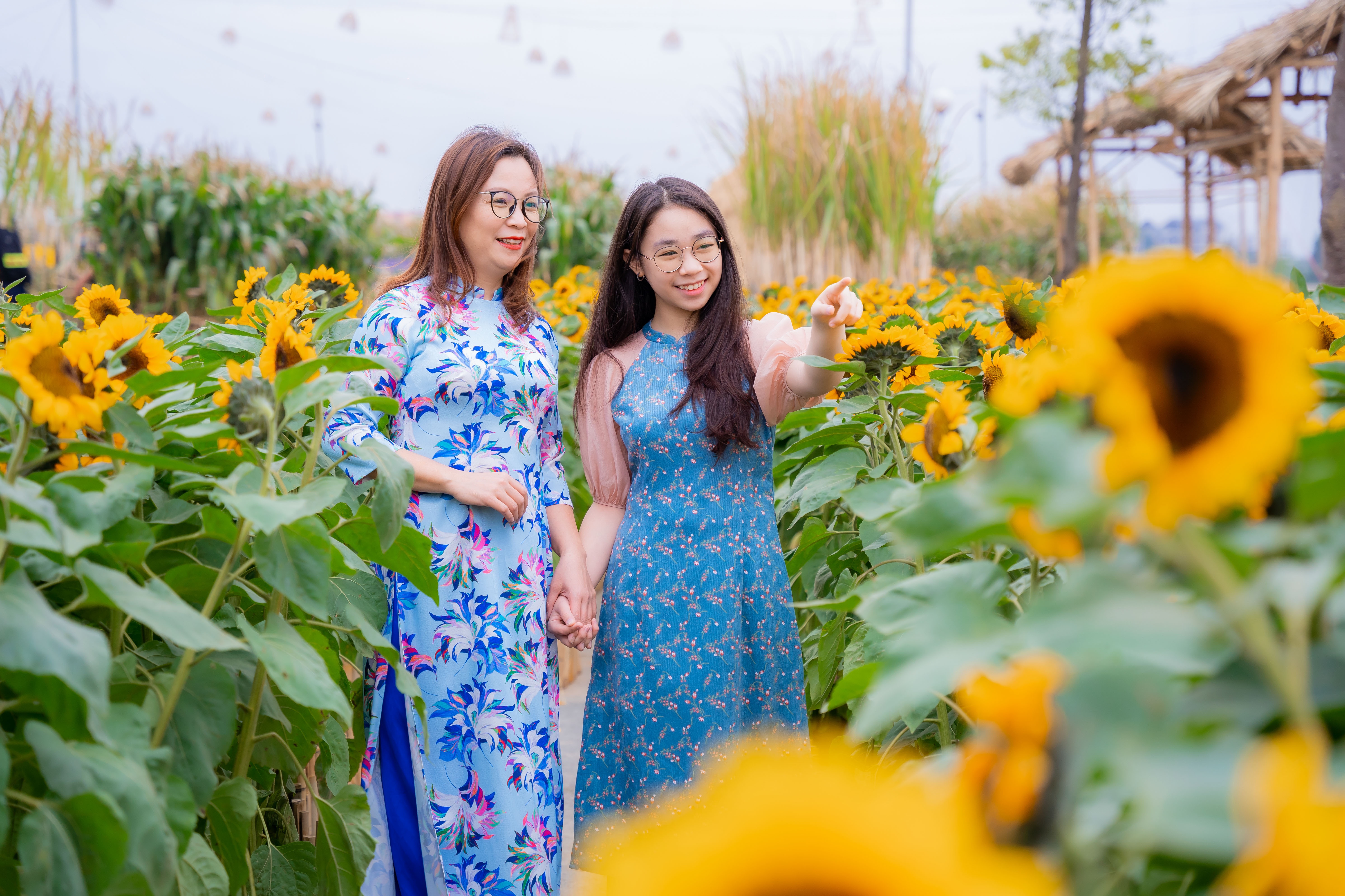 Splendora ảnh 3 Splendora anh 3