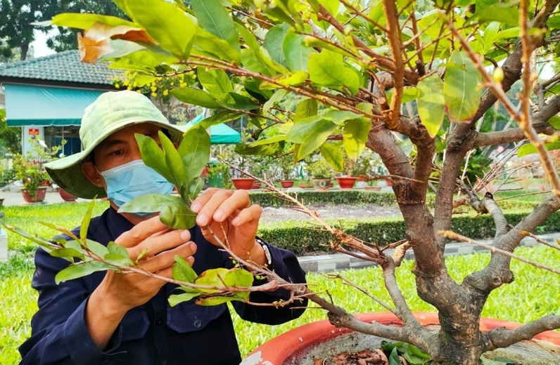 Realme ảnh 9 Realme anh 9