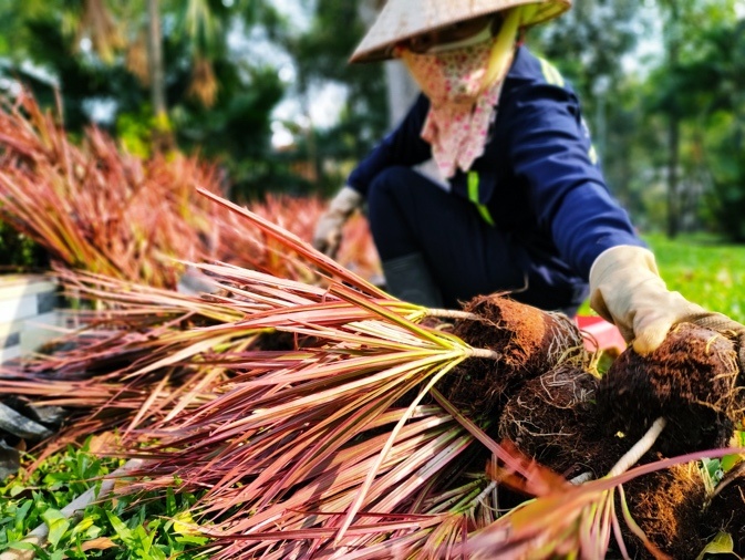 Huong vi Tet TP.HCM qua ong kinh realme 7 hinh anh