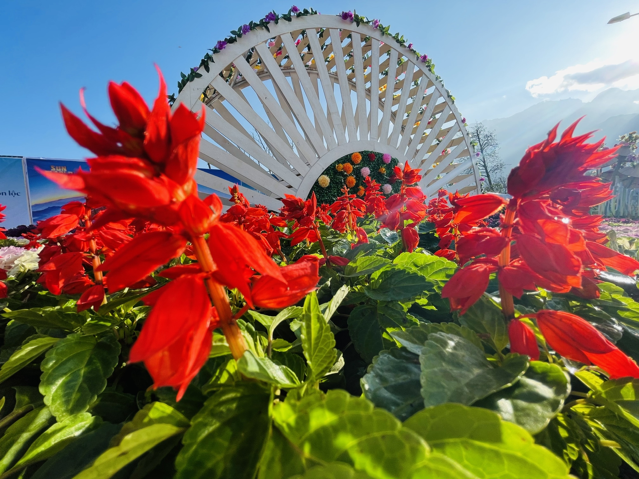 Sun World Fansipan Legend anh 2