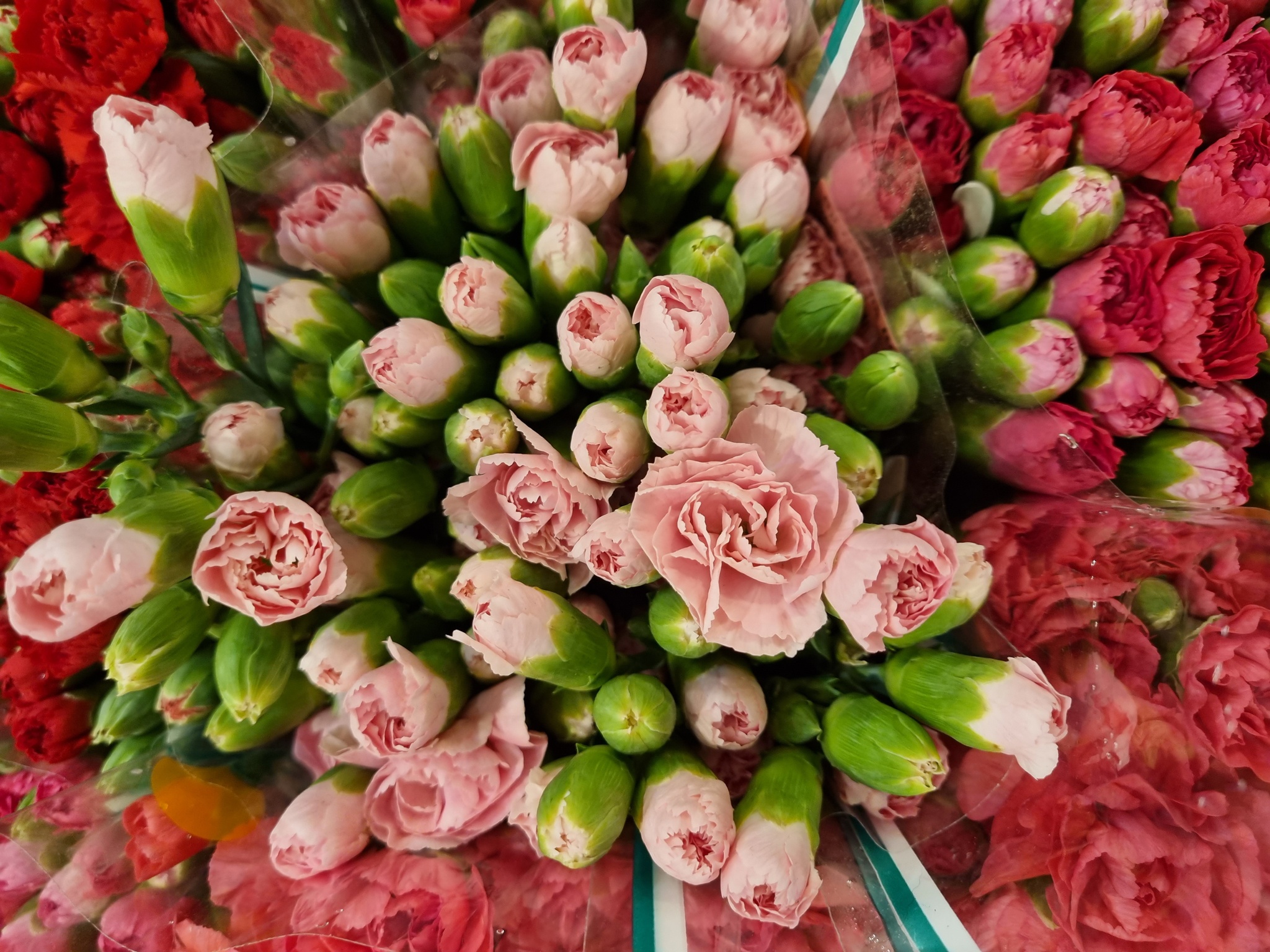 Sức mạnh của camera Galaxy S21+ ảnh 4 Suc manh cua camera Galaxy S21+ anh 4