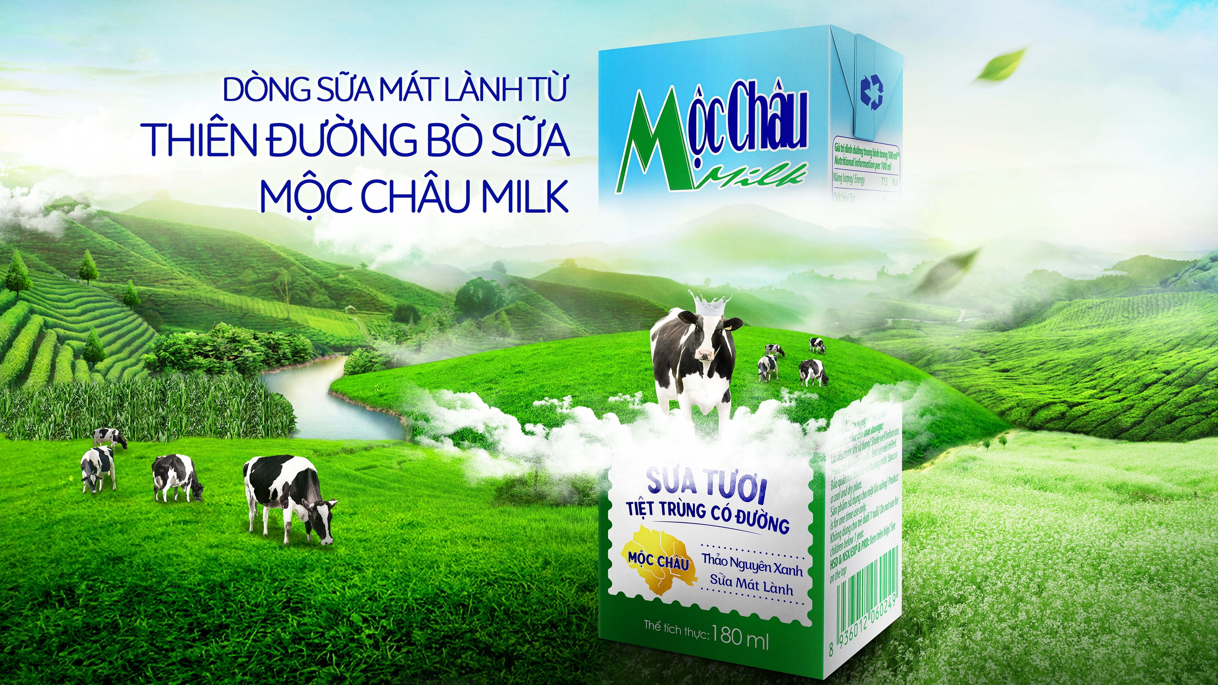 Moc Chau Milk anh 3