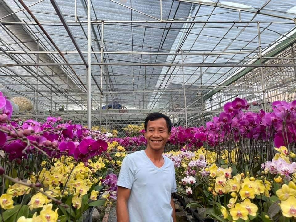 Nha Uyen - dia chi cung cap cac giong lan quy hinh anh