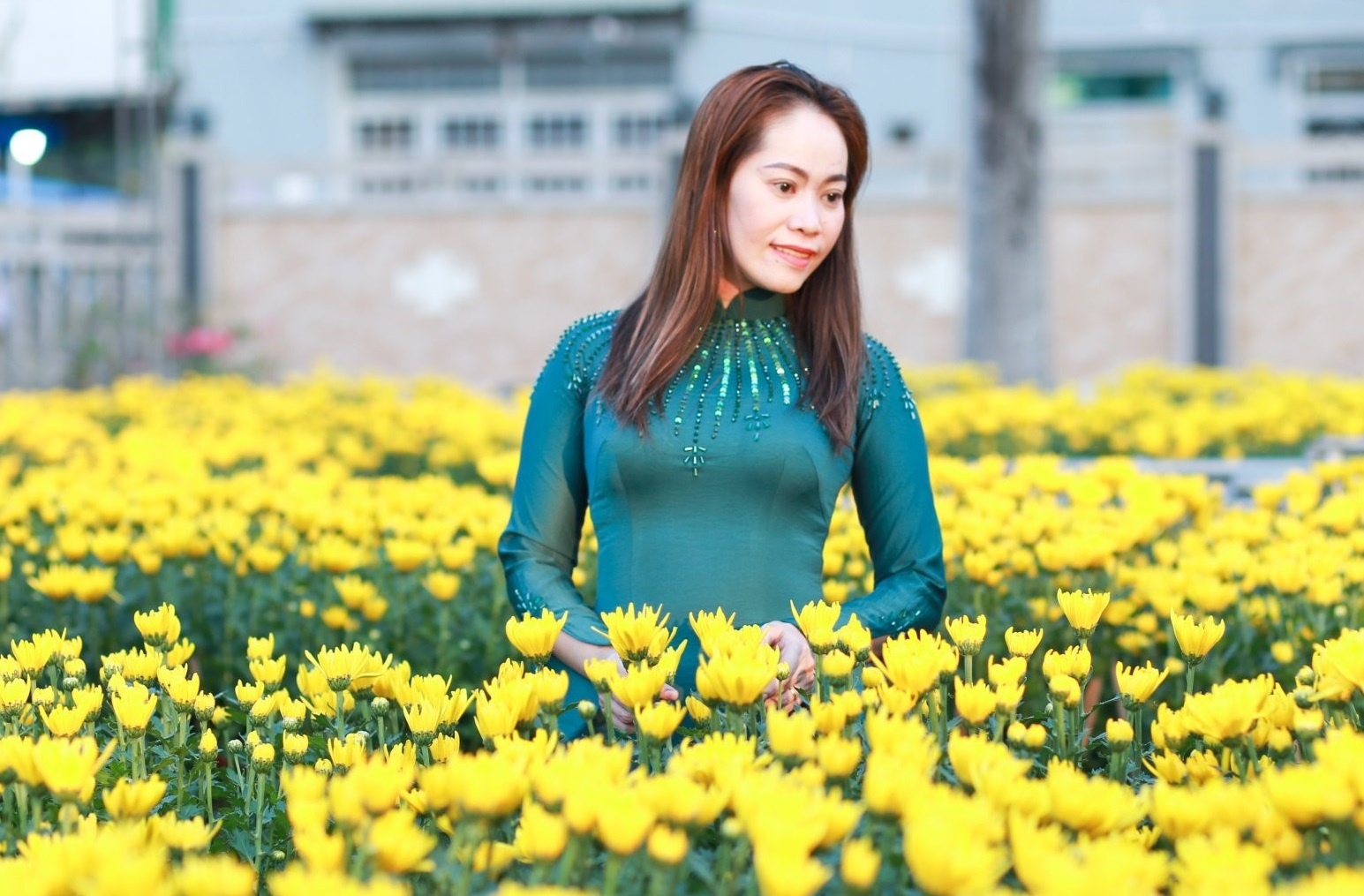 Chon trang phuc du xuan tai Ao dai Mau Mau hinh anh
