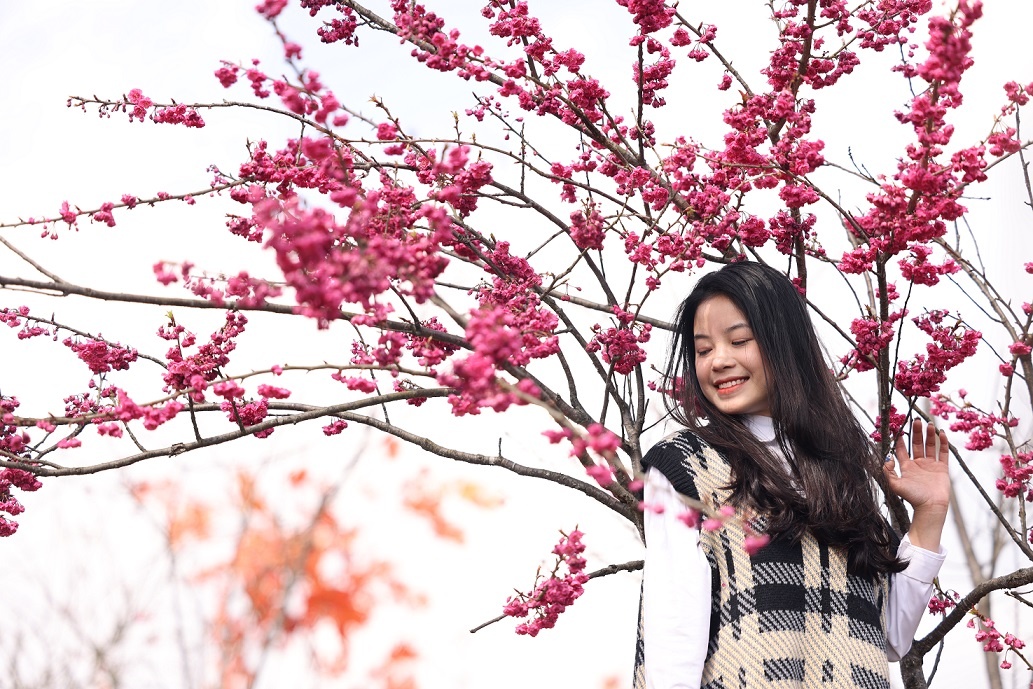 Anh dao Nhat Ban no ro tai Sun World Fansipan Legend hinh anh