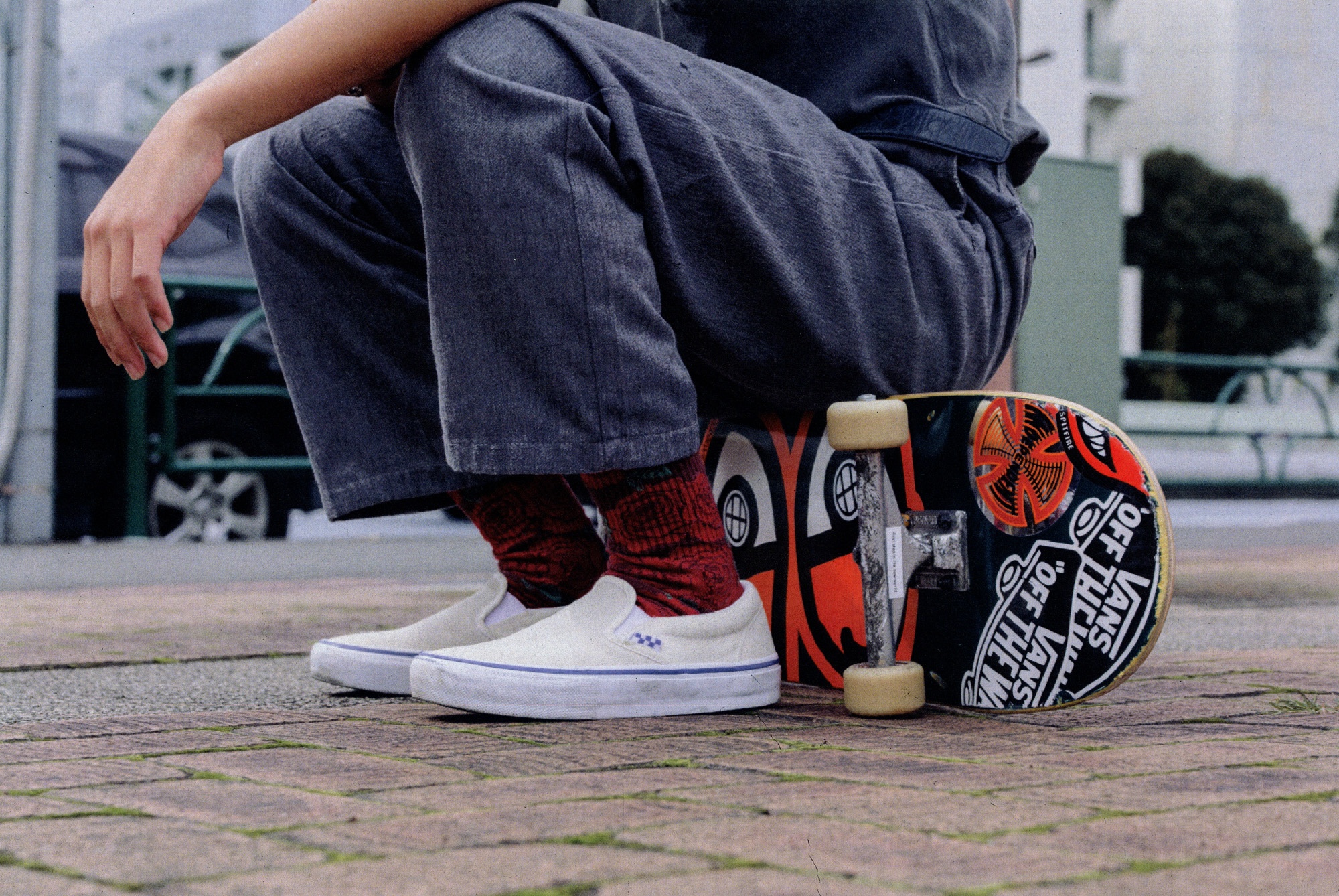 Vans ảnh 6 Vans anh 6