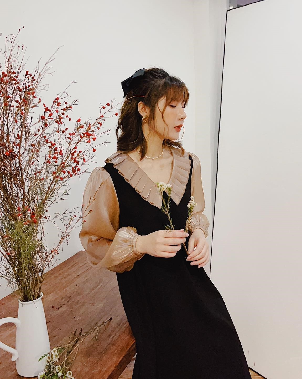 Petbychang ảnh 5 Petbychang anh 5