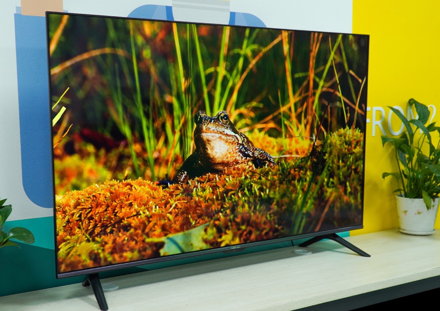 Asanzo bat tay Google ra mat TV Android 10 hinh anh