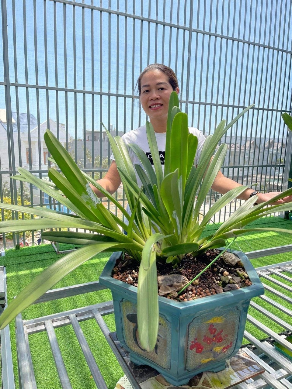 Vuon phong lan Tram Anh anh 1